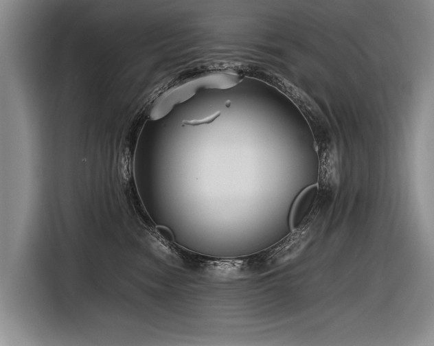 X0000116620474200912111200
