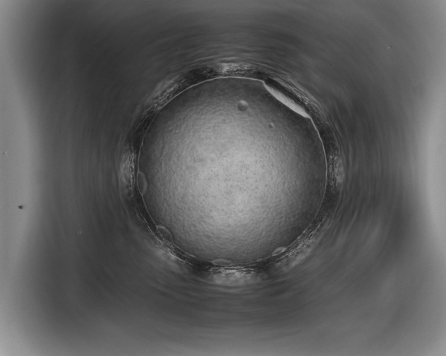X0000116620475200912111200