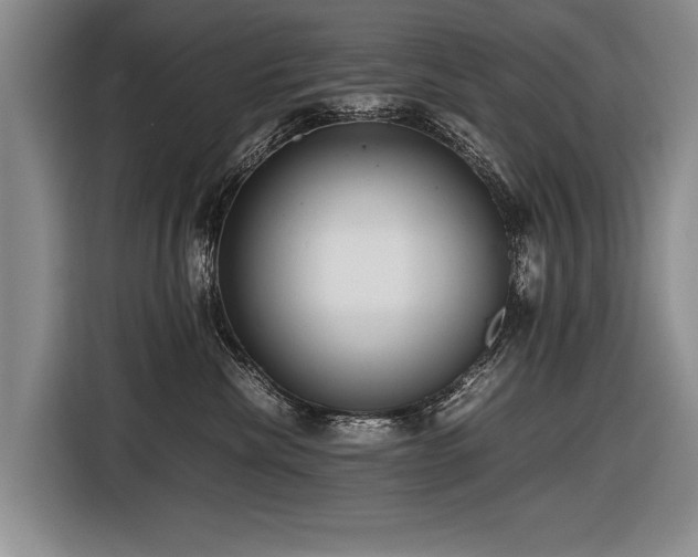 X0000116620476200912111200