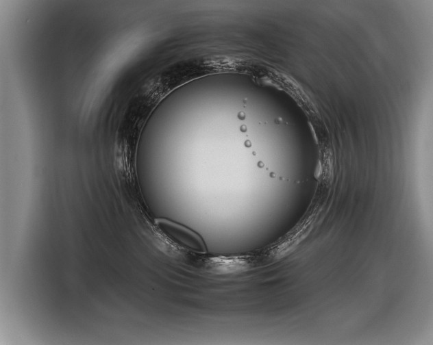 X0000116620477200912111200