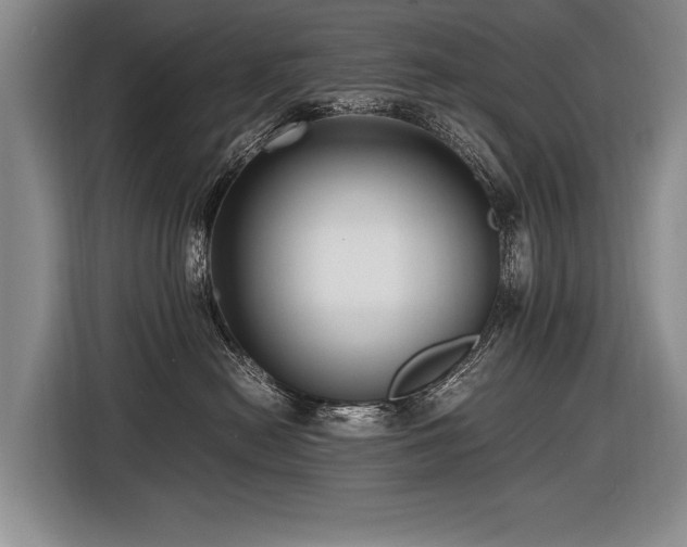 X0000116620478200912111200