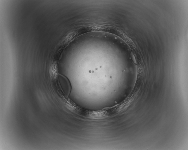 X0000116620479200912111200