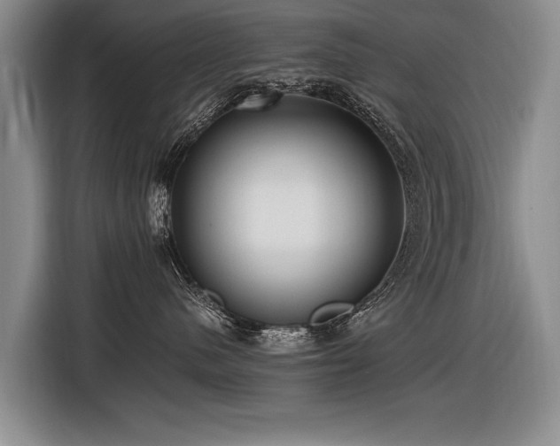 X0000116620480200912111200