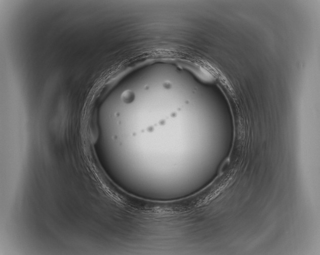 X0000116620481200912111159