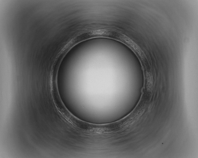 X0000116620482200912111159