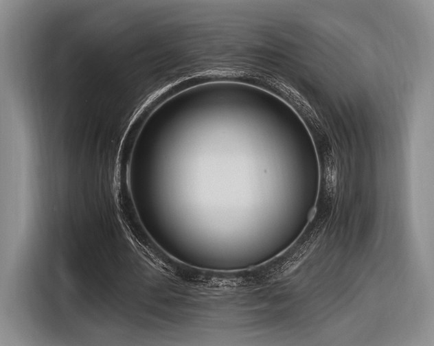 X0000116620484200912111159