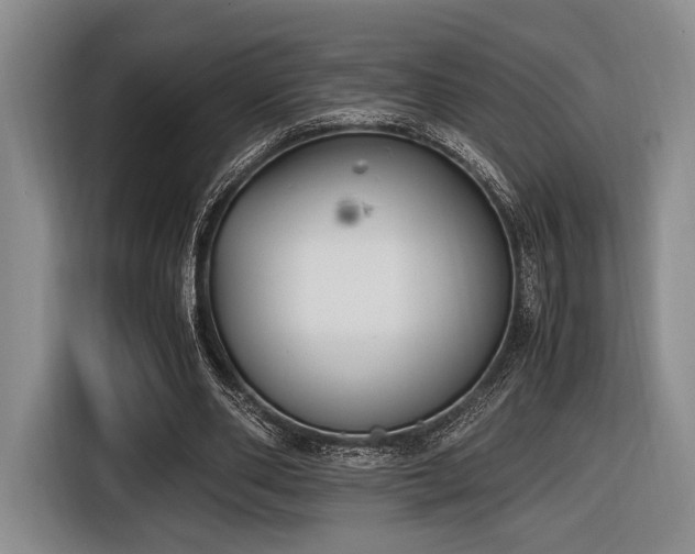 X0000116620486200912111159