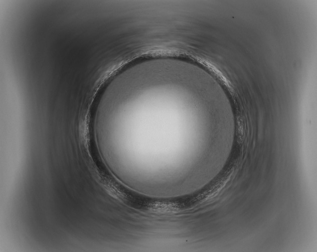 X0000116620487200912111159