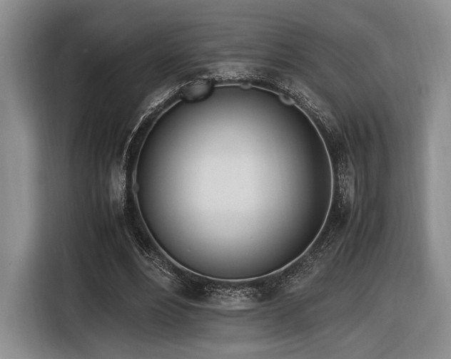 X0000116620488200912111159