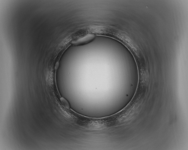 X0000116620489200912111159