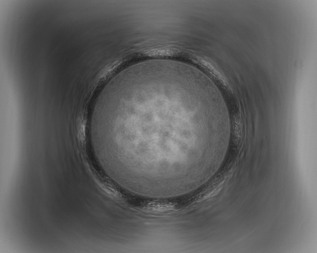 X0000116620491200912111159