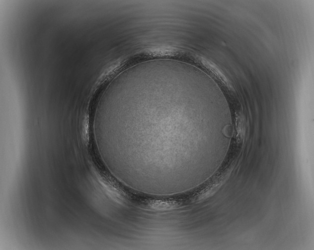 X0000116620494200912111159
