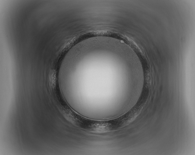 X0000116620495200912111159
