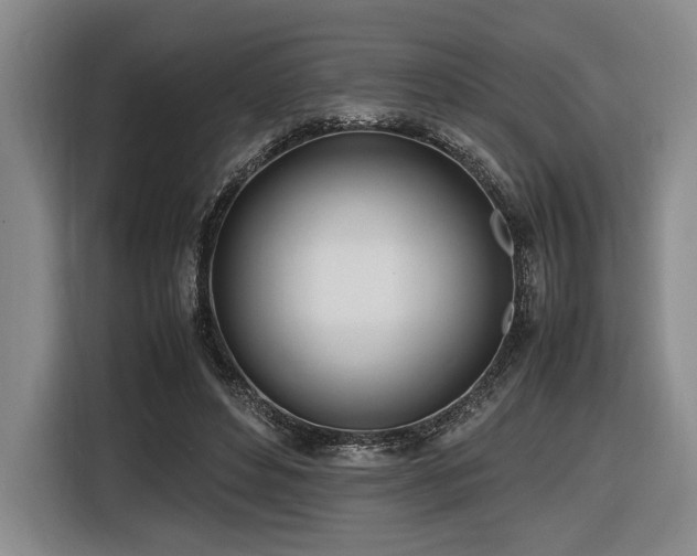 X0000116620496200912111159