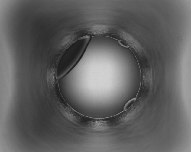 X0000116620501200912111159