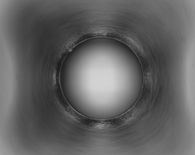 X0000116620504200912111159