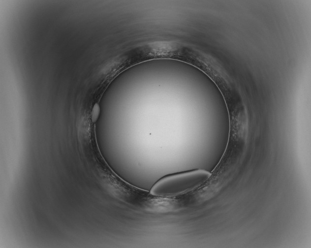 X0000116620505200912111159