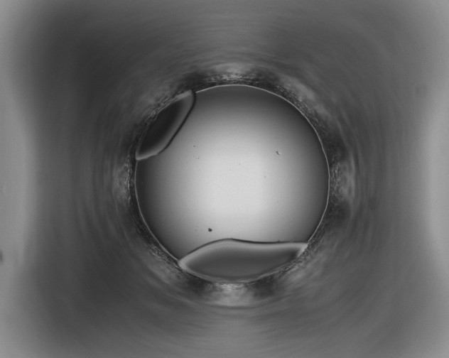 X0000116620509200912111159