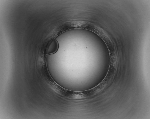 X0000116620510200912111159