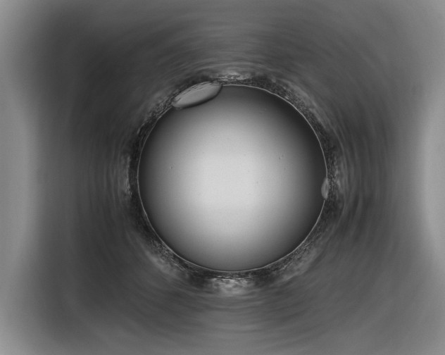 X0000116620512200912111159