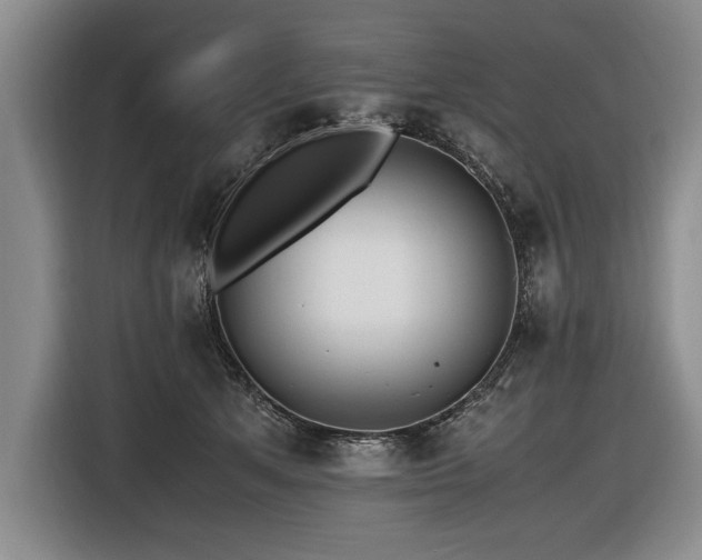 X0000116620513200912111159