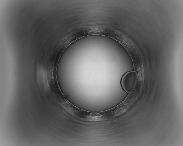 X0000116620514200912111159