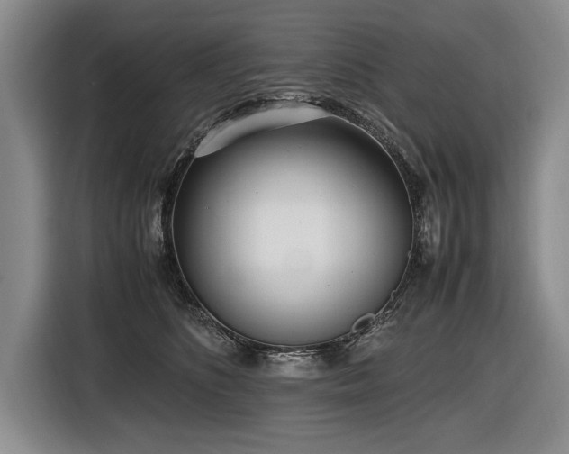 X0000116620516200912111159