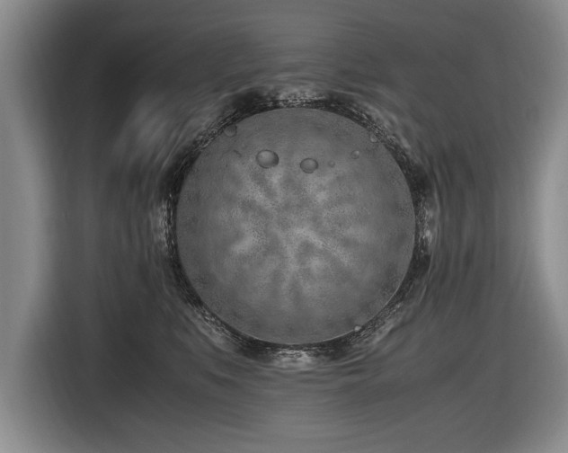 X0000116620519200912111159