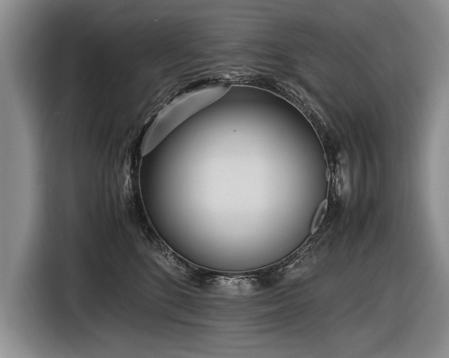 X0000116620520200912111159