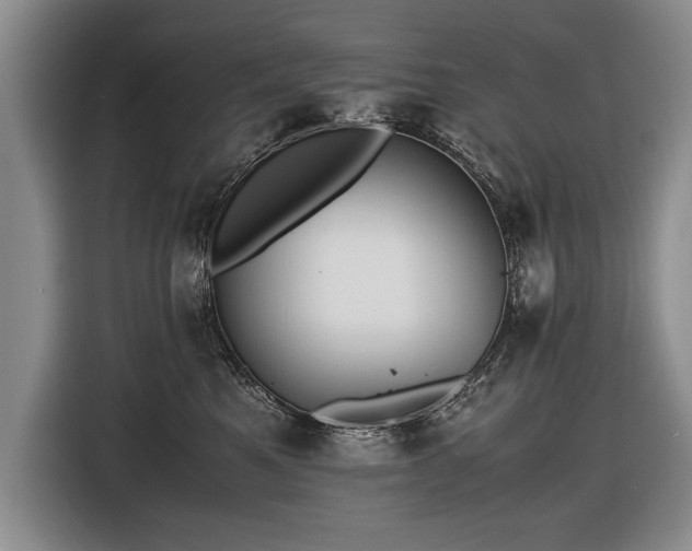 X0000116620521200912111159