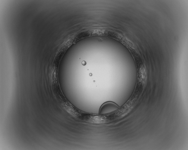 X0000116620522200912111159