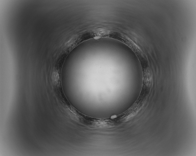 X0000116620523200912111159