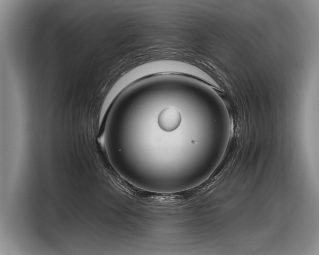 X0000116620524200912111159