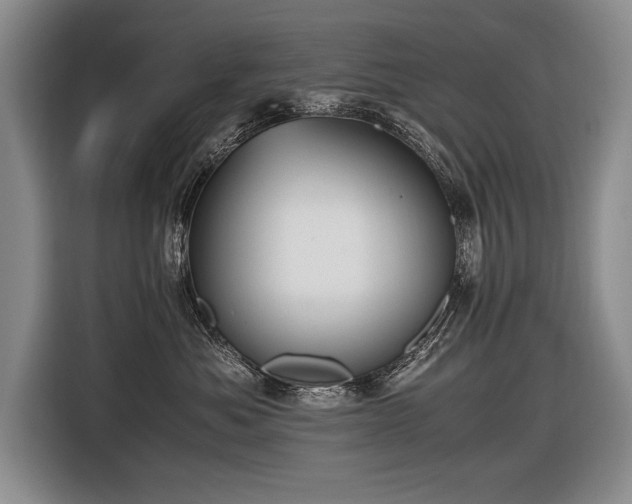 X0000116620525200912111159