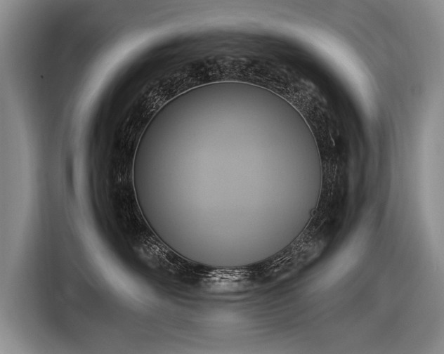 X0000116620526200912111159