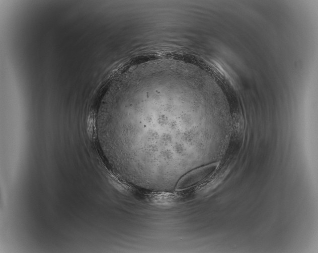 X0000116620527200912111159
