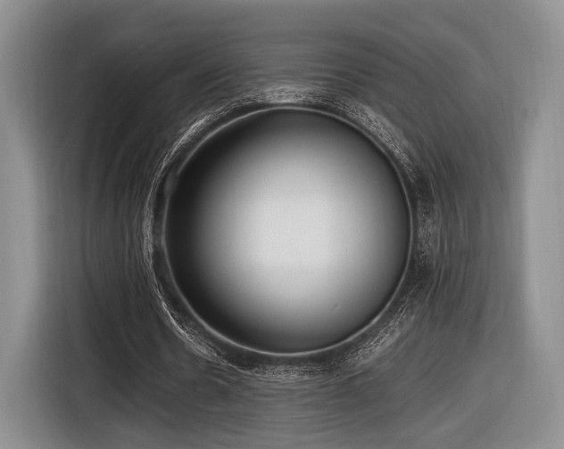 X0000116620530200912111158