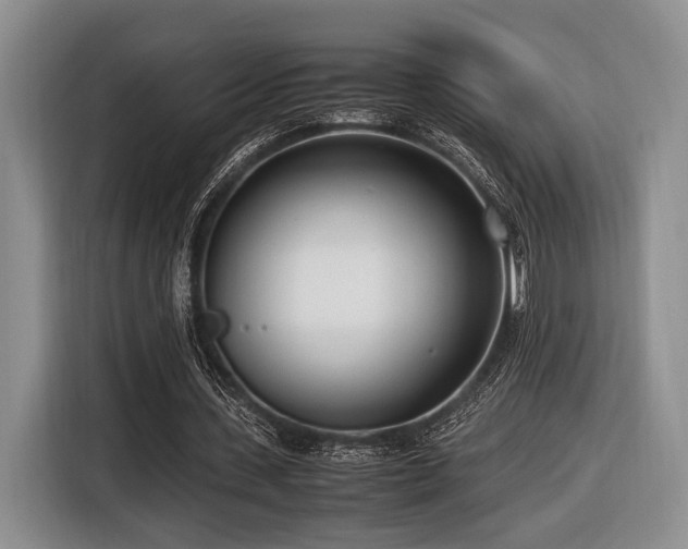 X0000116620531200912111158