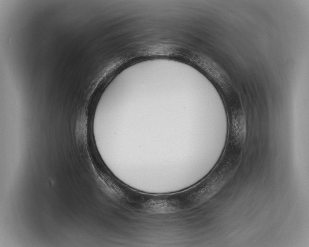 X0000116620534200912111158
