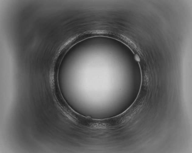 X0000116620535200912111158