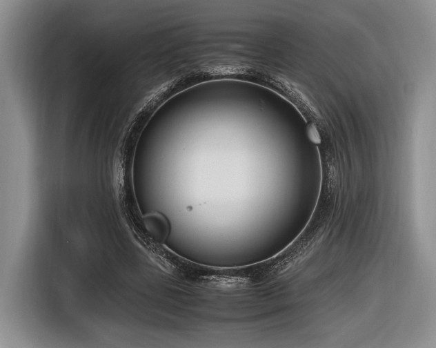 X0000116620539200912111158