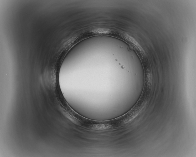 X0000116620541200912111158