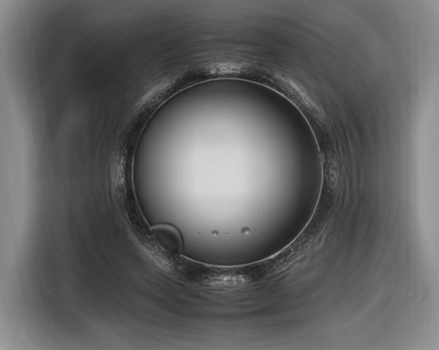 X0000116620543200912111158
