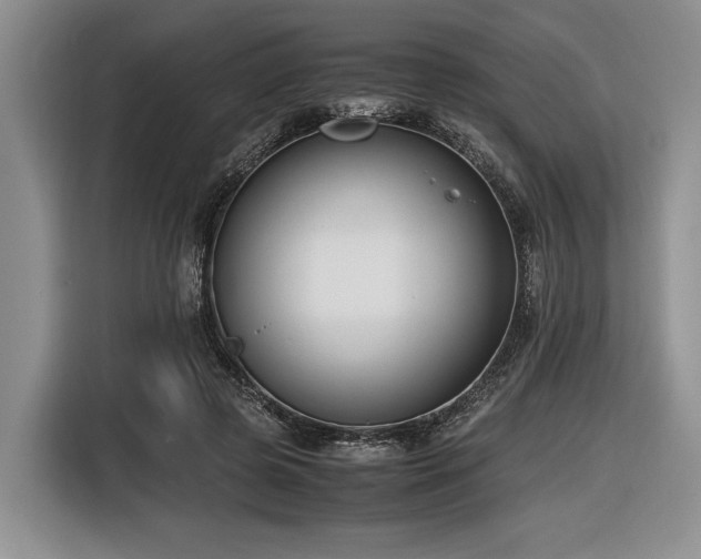X0000116620545200912111158