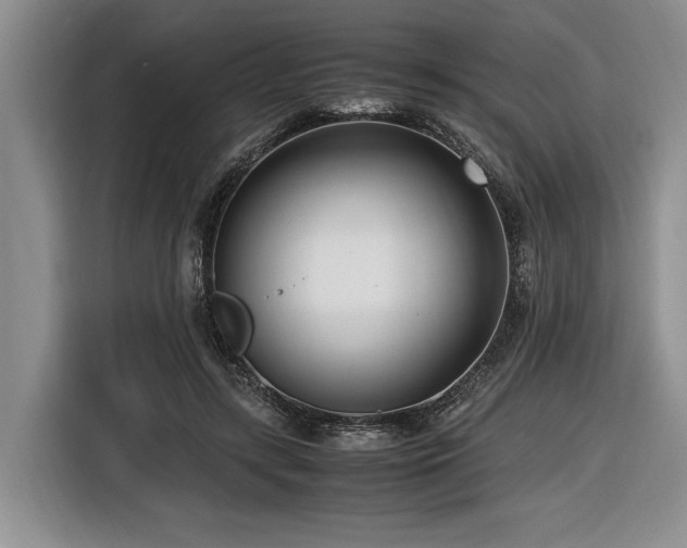 X0000116620547200912111158