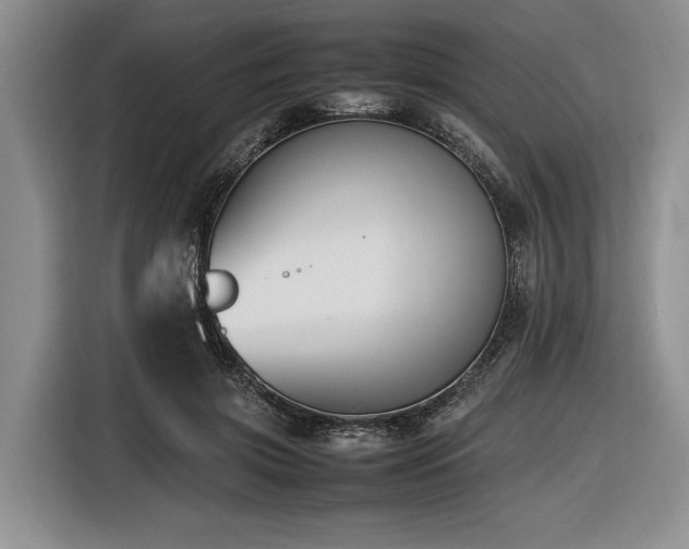 X0000116620549200912111158