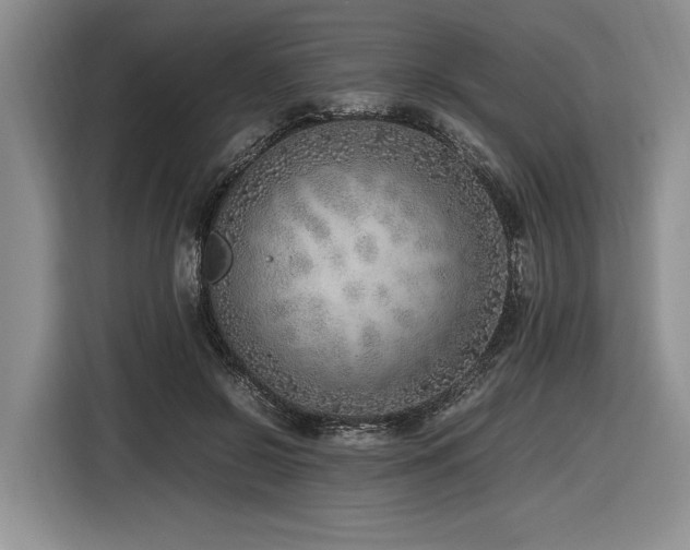 X0000116620550200912111158