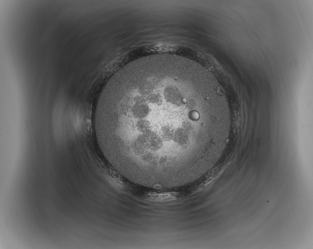 X0000116620553200912111158