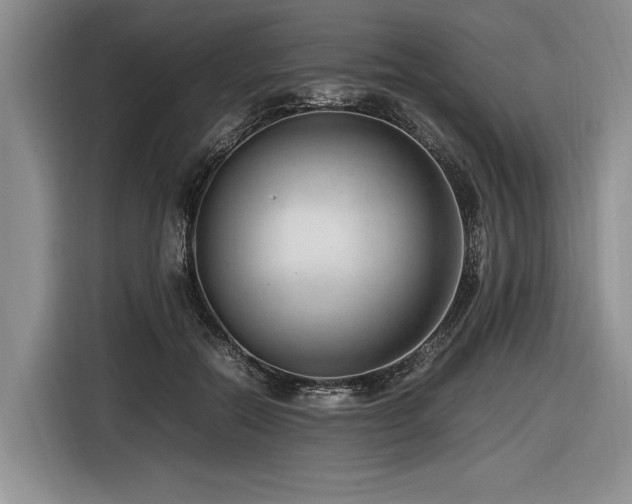 X0000116620554200912111158
