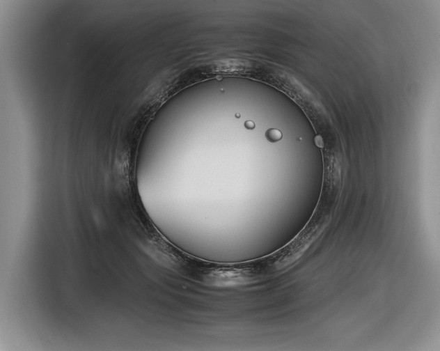 X0000116620557200912111158